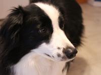 01 27 2018,181418 IMG 0019