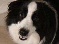 02 09 2018,191959 IMG 0030