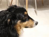 02 09 2018,192702 IMG 0041