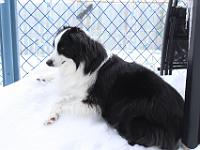 02 10 2017,131922 IMG 1690