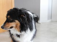 02 10 2018,161815 IMG 0064