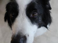 03 29 2019,163006 IMG 0033