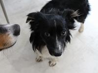 03 29 2019,163028 IMG 0041