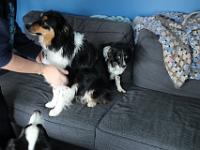 03 29 2019,163101 IMG 0048