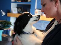 03 29 2019,163136 IMG 0079