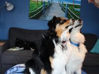 03 29 2019,163219 IMG 0120