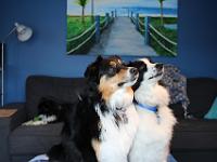 03 29 2019,163220 IMG 0125