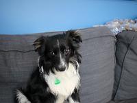 03 29 2019,163331 IMG 0170