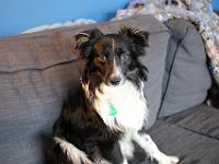 03 29 2019,163341 IMG 0180