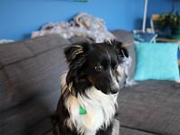 03 29 2019,163512 IMG 0225