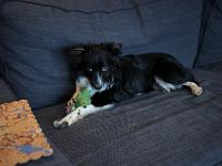 03 29 2019,163547 IMG 0230