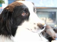 03 29 2019,163557 IMG 0234