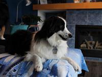 03 29 2019,163657 IMG 0246