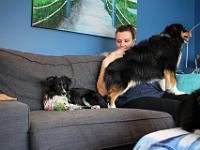 03 29 2019,163735 IMG 0251