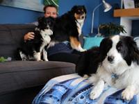 03 29 2019,163747 IMG 0260