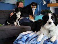 03 29 2019,163749 IMG 0264