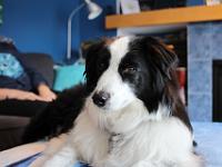 03 29 2019,163856 IMG 0269