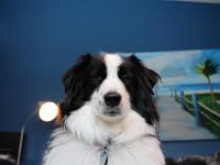 03 29 2019,163948 IMG 0274