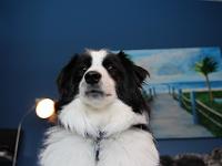 03 29 2019,163949 IMG 0275