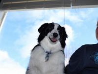 03 29 2019,164020 IMG 0279