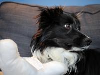 03 29 2019,164211 IMG 0288