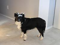 03 30 2019,085738 IMG 0316