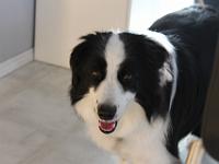 03 30 2019,085743 IMG 0318