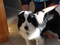 03 30 2019,085838 IMG 0353