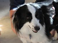 03 30 2019,085840 IMG 0358