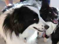 03 30 2019,085842 IMG 0361