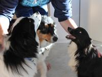 03 30 2019,085846 IMG 0369