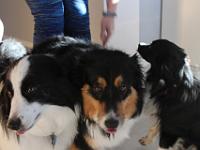 03 30 2019,085847 IMG 0375