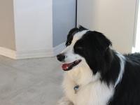 03 30 2019,085945 IMG 0377