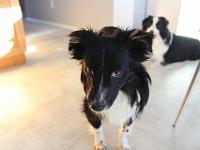 03 30 2019,090016 IMG 0390