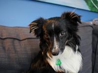 03 31 2019,114133 IMG 0184