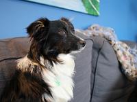 03 31 2019,114135 IMG 0195