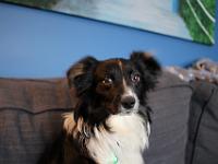 03 31 2019,114137 IMG 0208