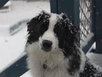 04 01 2016,184653 IMG 0001