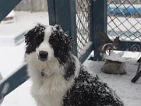 04 01 2016,184657 IMG 0004