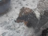 04 01 2016,184709 IMG 0005