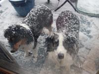 04 01 2016,184731 IMG 0014