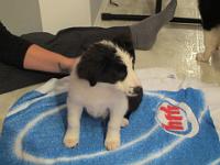 04 02 2015,215401 IMG 0001