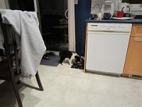 04 02 2015,215456 IMG 0006