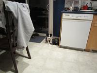 04 02 2015,215459 IMG 0007