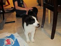 04 02 2015,215510 IMG 0009