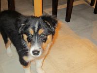 04 02 2015,215515 IMG 0010