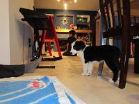 04 02 2015,215558 IMG 0013