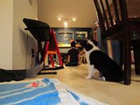 04 02 2015,215615 IMG 0014