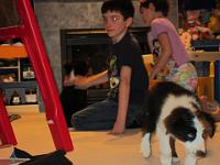 04 02 2015,215644 IMG 0016