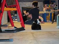 04 02 2015,215658 IMG 0018